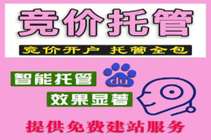 案例解读：SEM推广助力企业增长